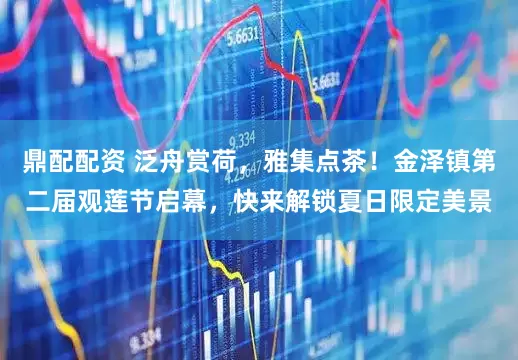 鼎配配资 泛舟赏荷，雅集点茶！金泽镇第二届观莲节启幕，快来解锁夏日限定美景