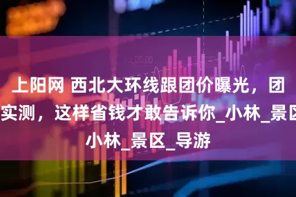 上阳网 西北大环线跟团价曝光，团队费用实测，这样省钱才敢告诉你_小林_景区_导游