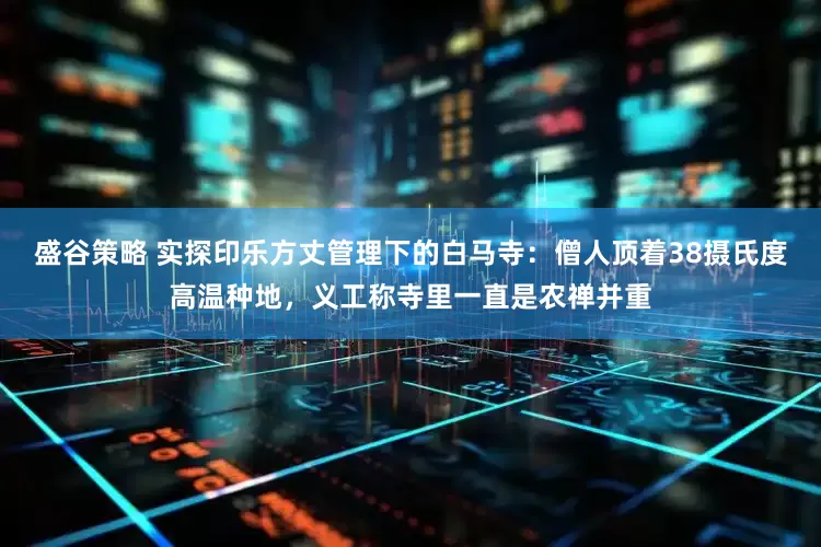 盛谷策略 实探印乐方丈管理下的白马寺：僧人顶着38摄氏度高温种地，义工称寺里一直是农禅并重