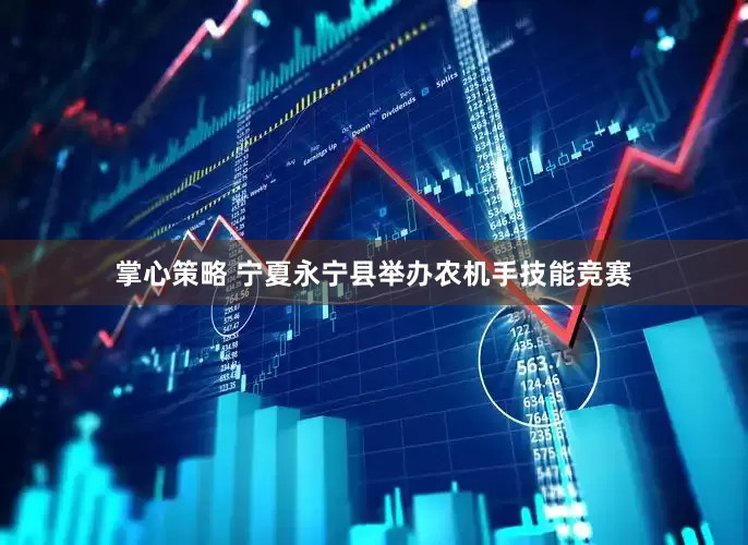 掌心策略 宁夏永宁县举办农机手技能竞赛