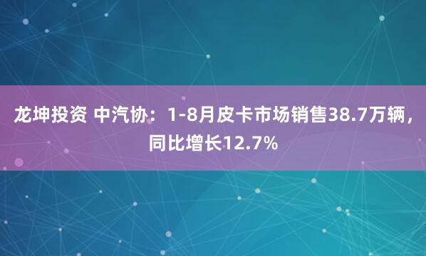 龙坤投资 中汽协：1-8月皮卡市场销售38.7万辆，同比增长12.7%
