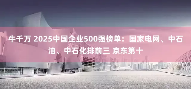 牛千万 2025中国企业500强榜单：国家电网、中石油、中石化排前三 京东第十
