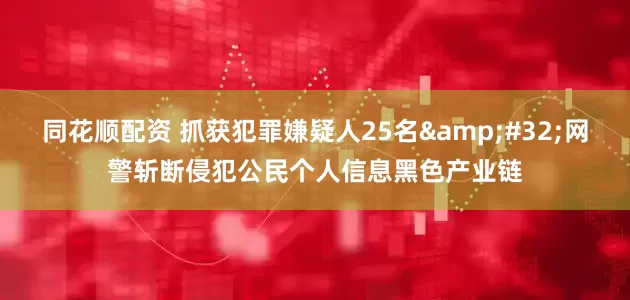 同花顺配资 抓获犯罪嫌疑人25名 网警斩断侵犯公民个人信息黑色产业链