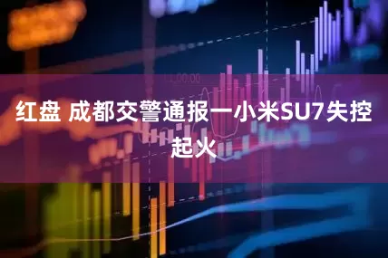红盘 成都交警通报一小米SU7失控起火